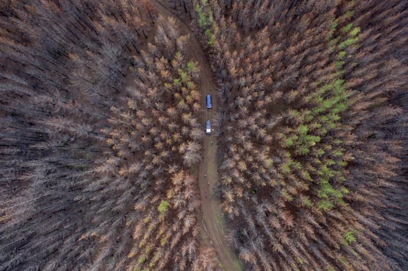 Vue aérienne d'une zone forestière consommée par un feu massif à environ 350 kilomètres au sud de Santiago, le 23 Juin, 2017. Martin Bernetti/AFP