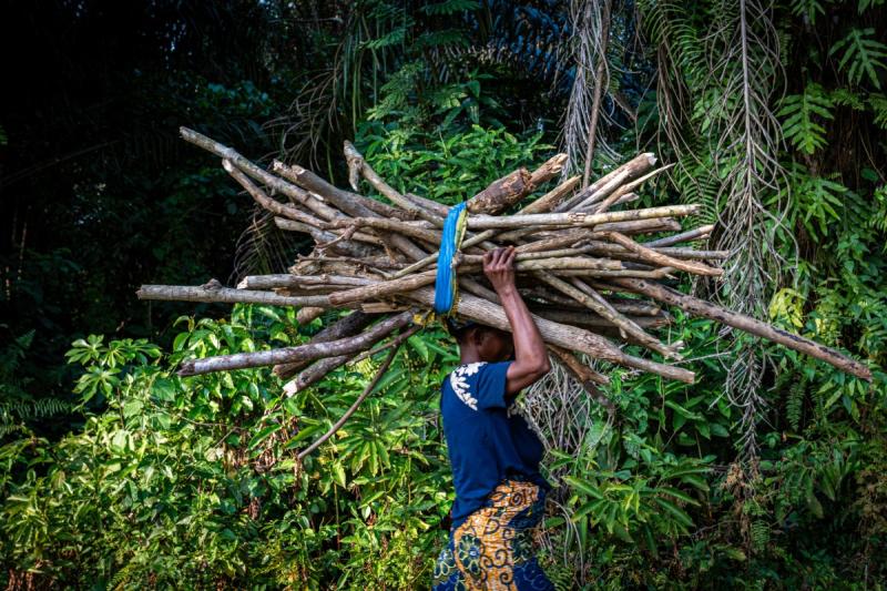 Une femme porte du bois collecté dans la forêt du village de Romée