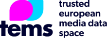 logo tems